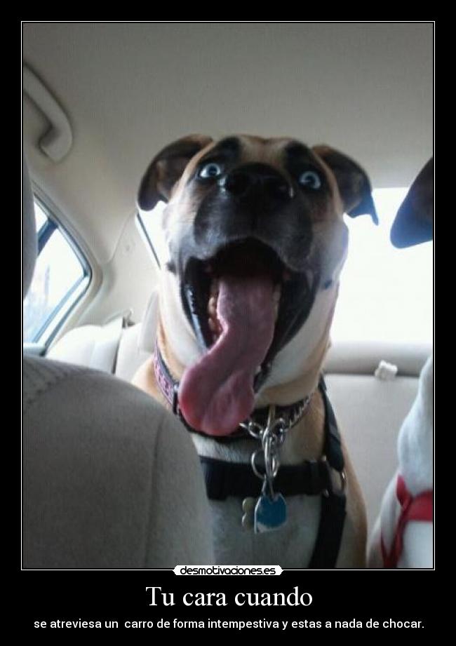 Tu cara cuando -