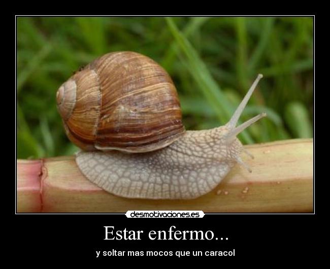 Estar enfermo... -