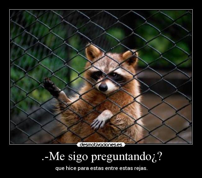 .-Me sigo preguntando¿? - que hice para estas entre estas rejas.