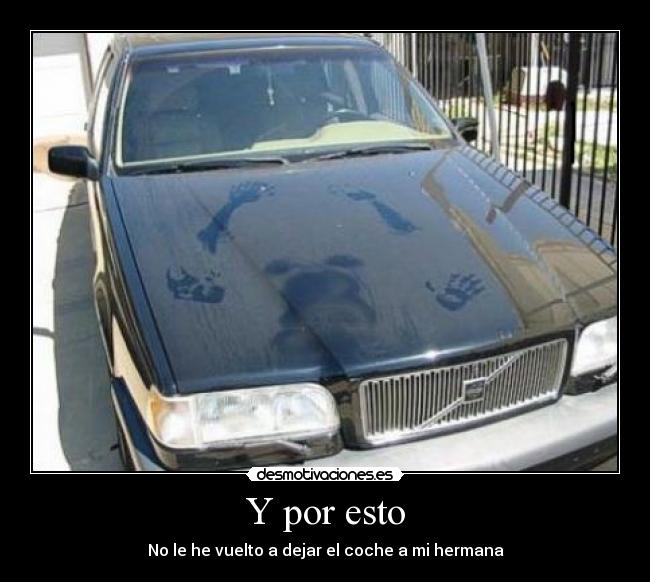 carteles fasdgfgtrhdfdfsg clanhoygan gusta bollicao kittag tigre asi que nomiresaqui intruders desmotivaciones