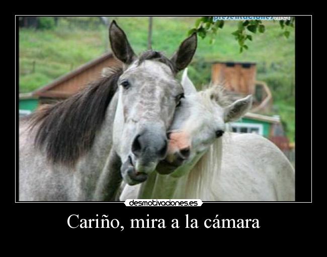 Cariño, mira a la cámara -