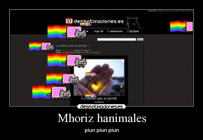 Mhoriz hanimales -
