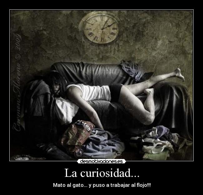 La curiosidad... - Mato al gato... y puso a trabajar al flojo!!!