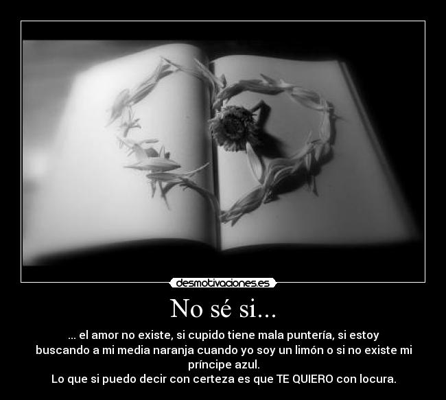 No sé si... - ... el amor no existe, si cupido tiene mala puntería, si estoy
buscando a mi media naranja cuando yo soy un limón o si no existe mi
príncipe azul.
Lo que si puedo decir con certeza es que TE QUIERO con locura.