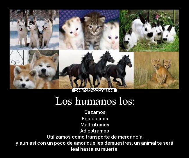 Los humanos los: -
