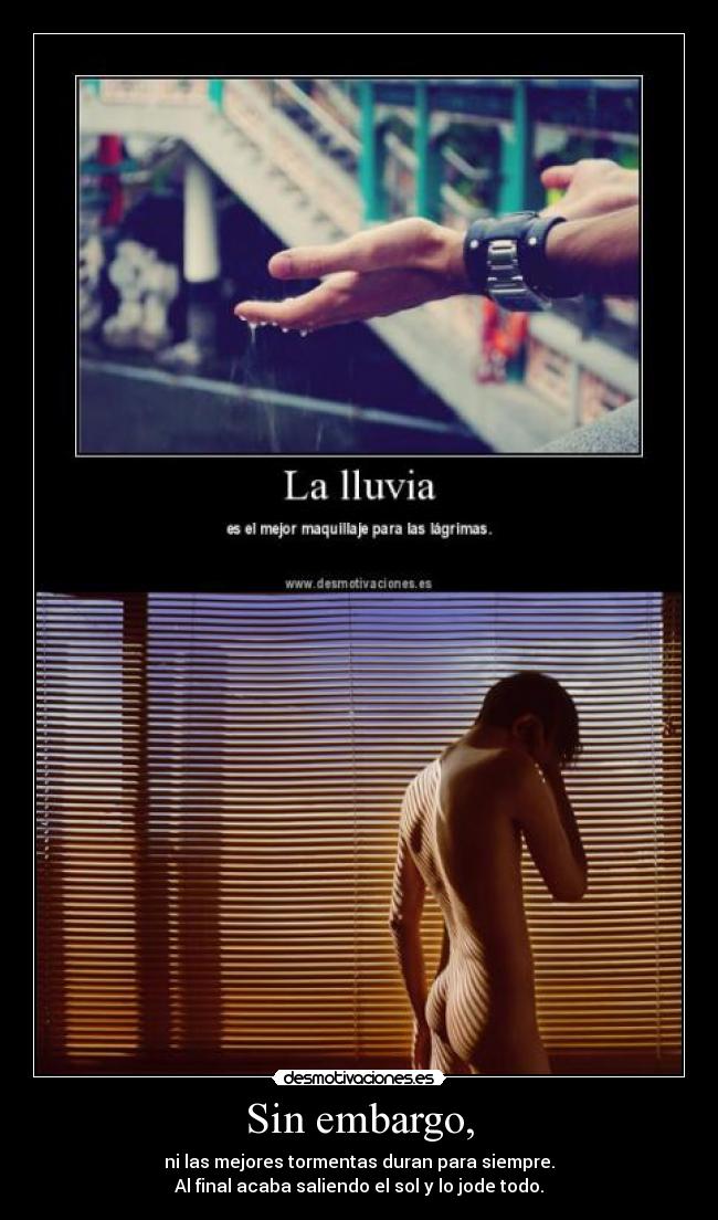 carteles entonces cuando sacamos nuestro parasol mono desfasado puto astro desmaquillante desmotivaciones