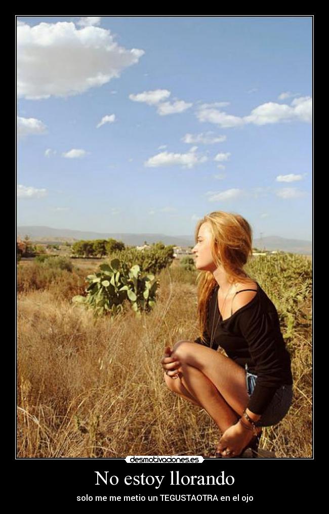No estoy llorando - 