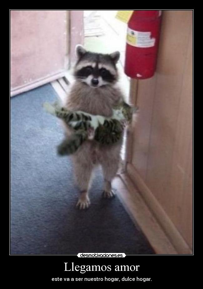 Llegamos amor - este va a ser nuestro hogar, dulce hogar.