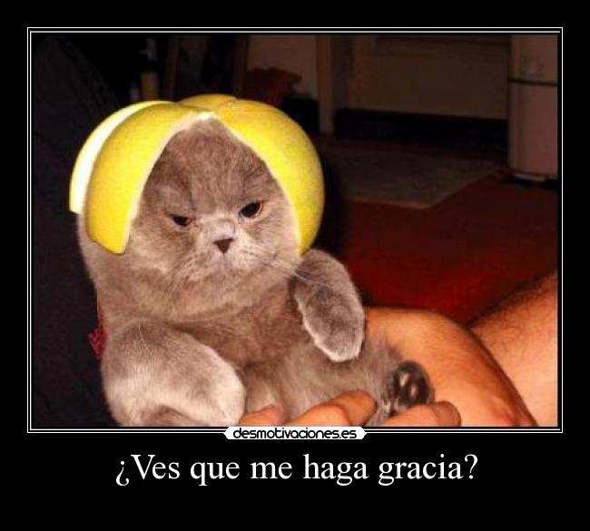 ¿Ves que me haga gracia? -