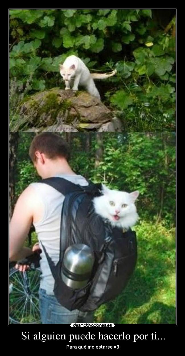 Si alguien puede hacerlo por ti... - Para qué molestarse =3