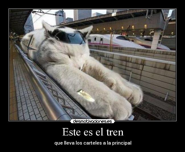 Este es el tren - 