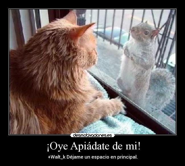 carteles asdfghjkl desmotivaciones