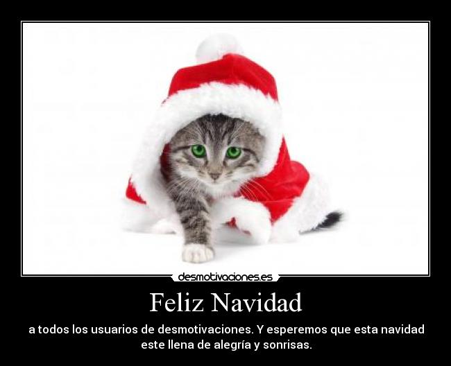 Feliz Navidad - 