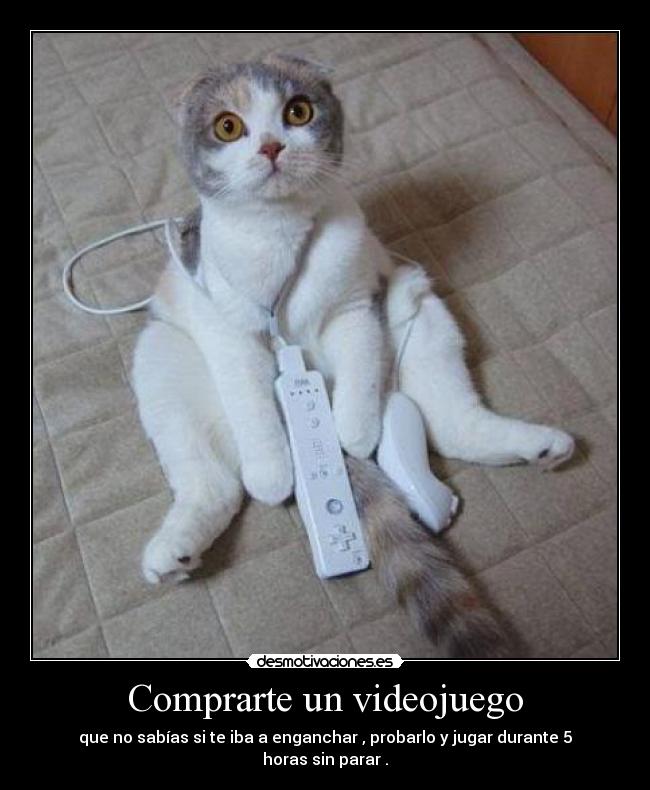Comprarte un videojuego - que no sabías si te iba a enganchar , probarlo y jugar durante 5 horas sin parar .