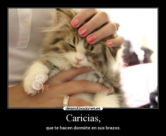 Caricias, - que te hacen dormirte en sus brazos.