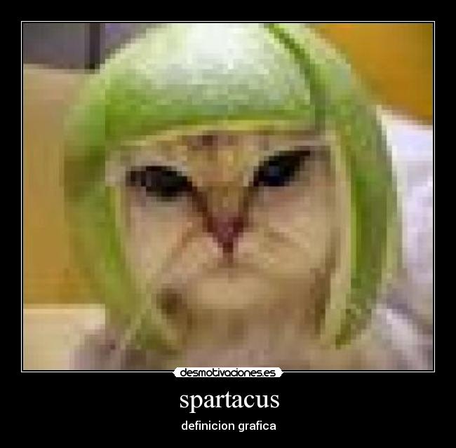 spartacus - definicion grafica