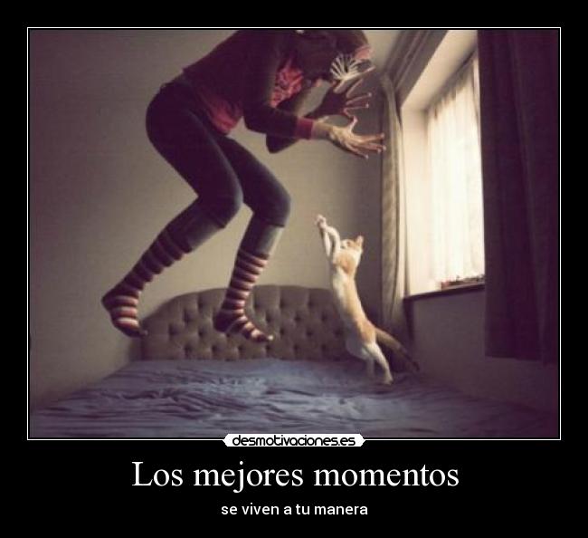 Los mejores momentos -