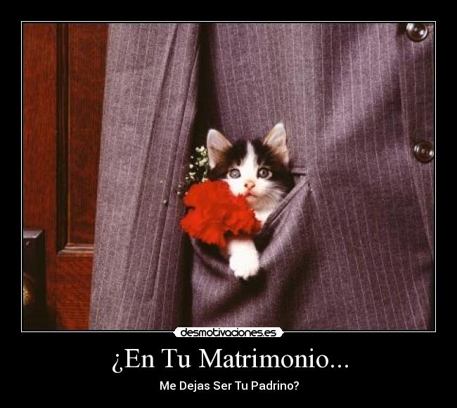 ¿En Tu Matrimonio... - Me Dejas Ser Tu Padrino?
