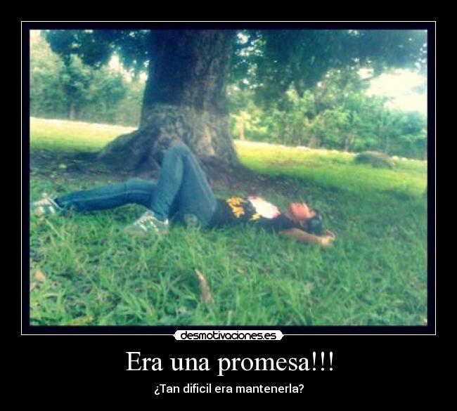 carteles promesa desmotivaciones