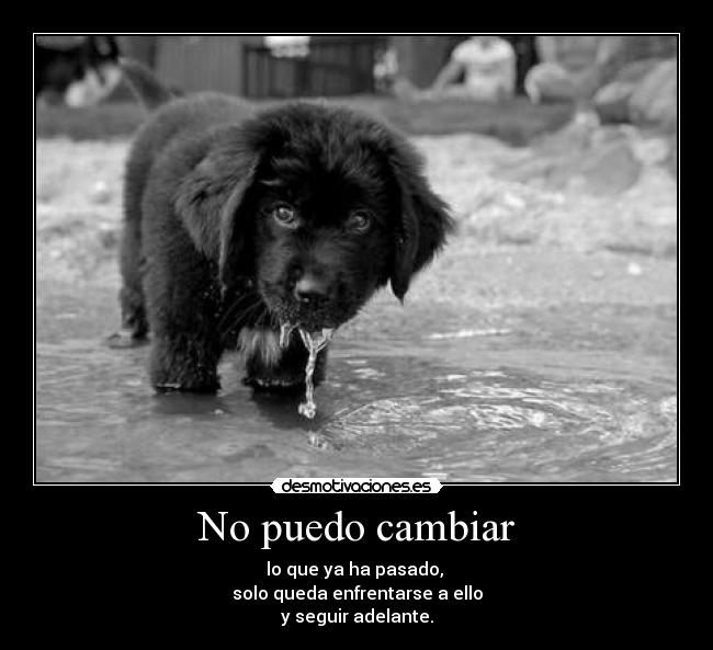 No puedo cambiar -