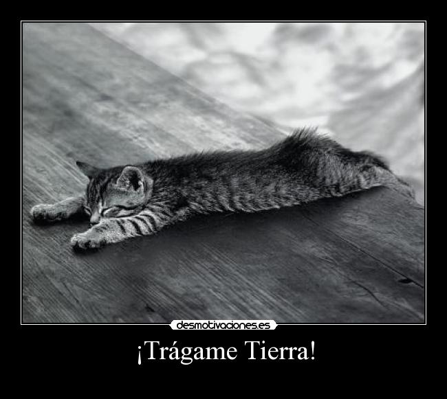 ¡Trágame Tierra! -