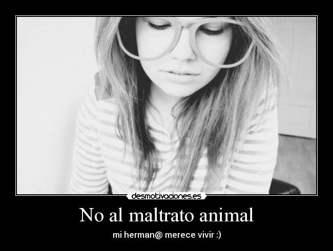 No al maltrato animal - mi herman@ merece vivir :)