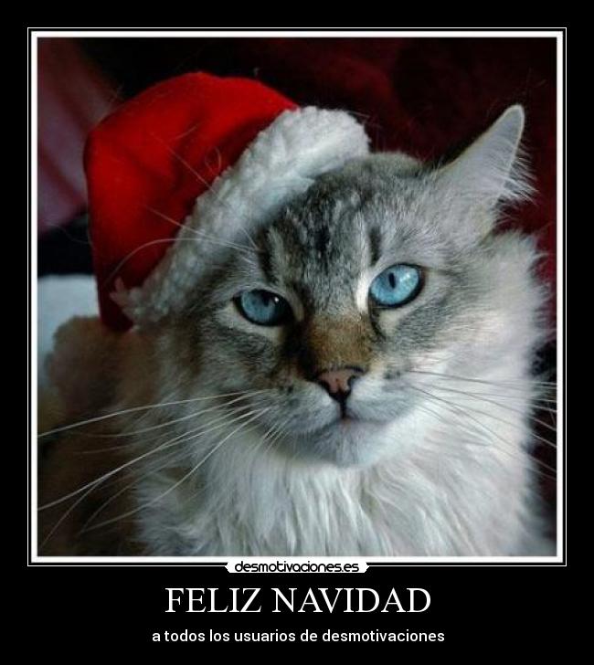 FELIZ NAVIDAD - 