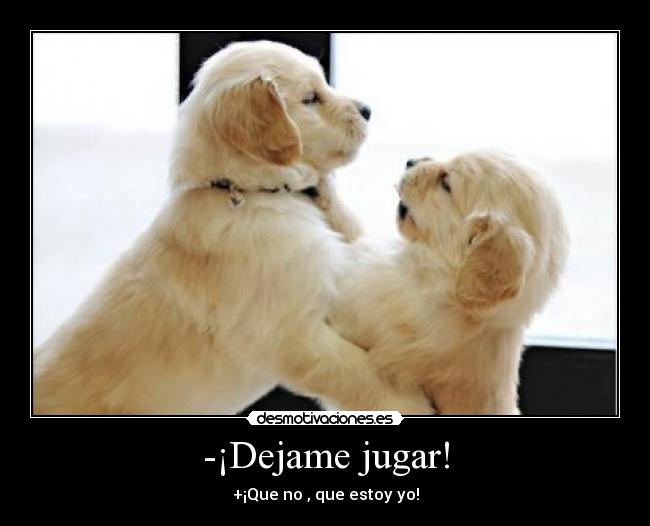 -¡Dejame jugar! - +¡Que no , que estoy yo!