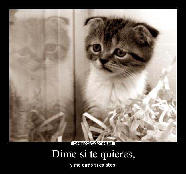 Dime si te quieres, - 