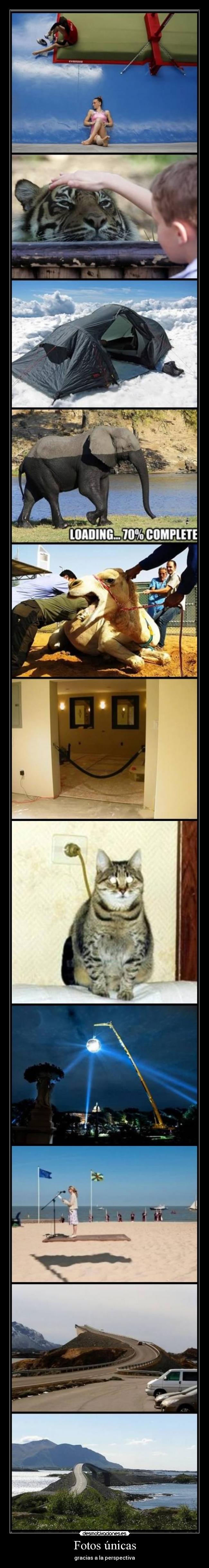 Fotos únicas - gracias a la perspectiva