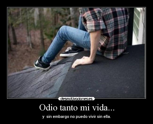 carteles odio vida jodidadistancia desmotivaciones