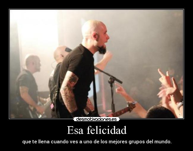 Esa felicidad - que te llena cuando ves a uno de los mejores grupos del mundo.