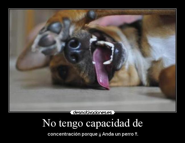 No tengo capacidad de -
