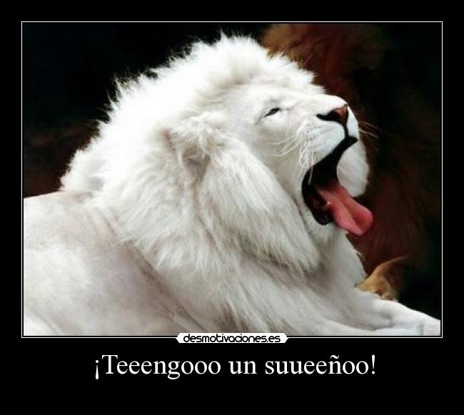 ¡Teeengooo un suueeñoo! - 