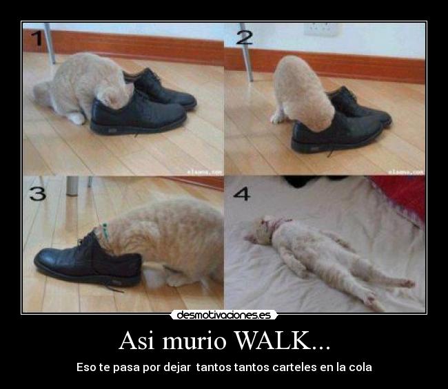Asi murio WALK... - 