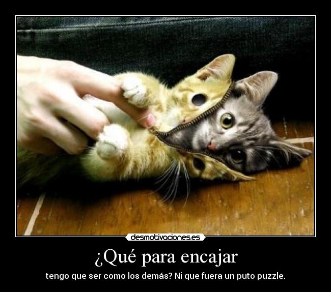 ¿Qué para encajar - 