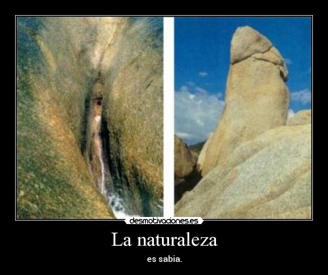La naturaleza -