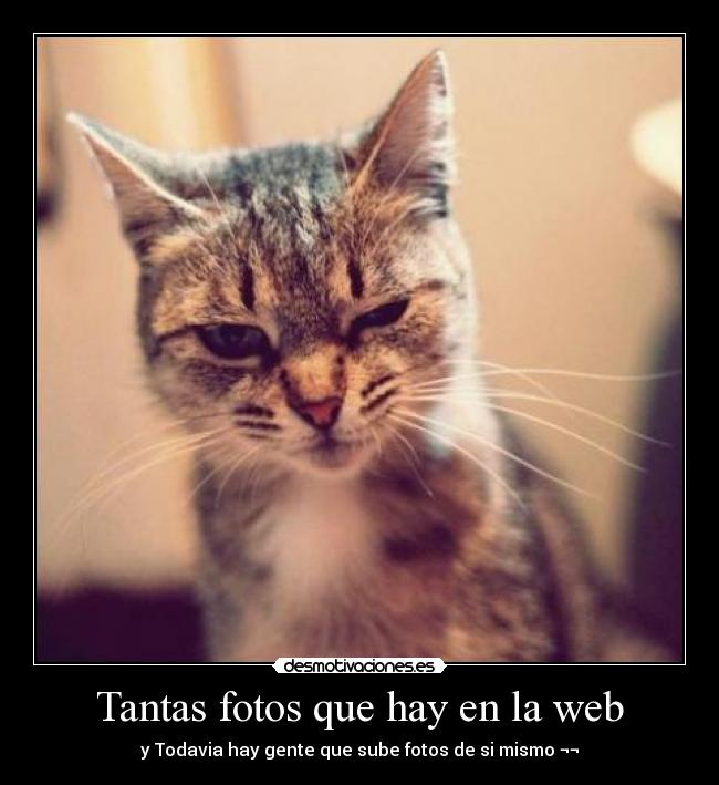 Tantas fotos que hay en la web - y Todavia hay gente que sube fotos de si mismo ¬¬