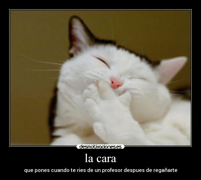 la cara - que pones cuando te ries de un profesor despues de regañarte