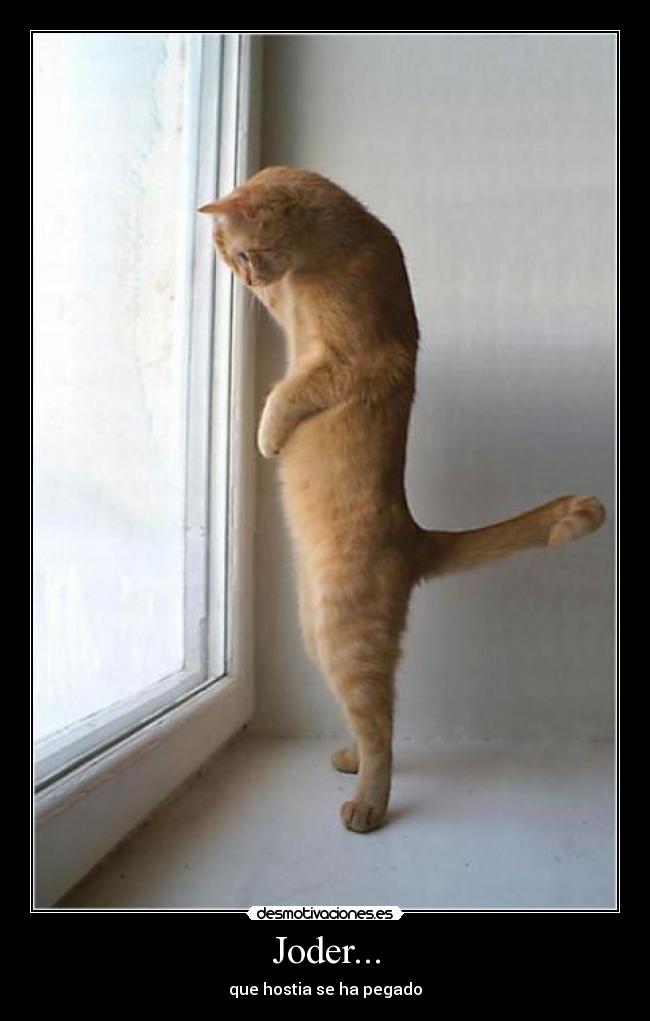 Joder... -