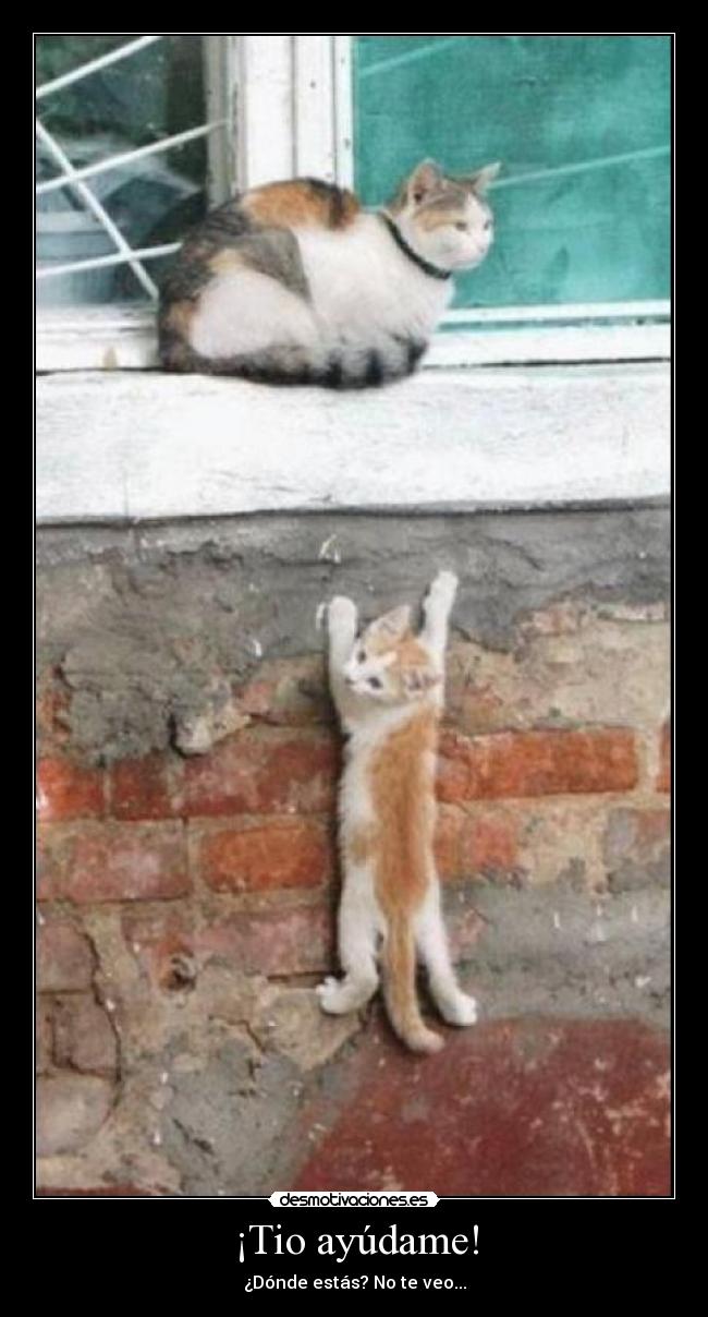 ¡Tio ayúdame! - 