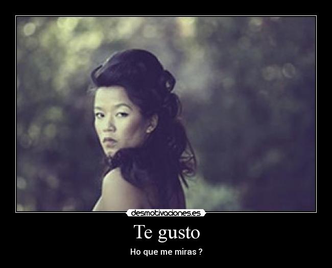 Te gusto - Ho que me miras ?