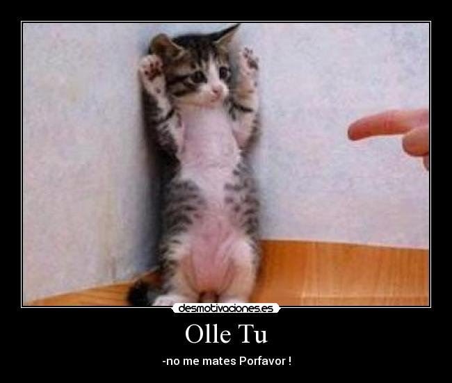 Olle Tu - -no me mates Porfavor !