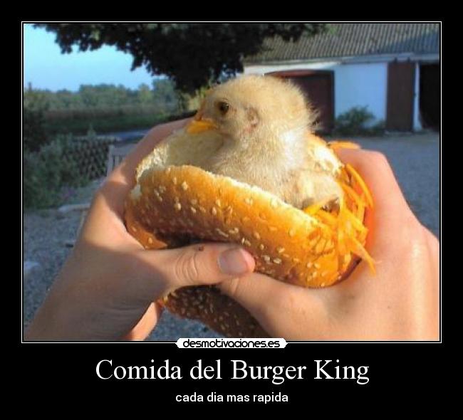 Comida del Burger King -