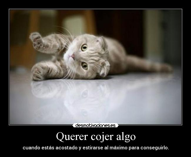 carteles jonatan96 desmotivaciones