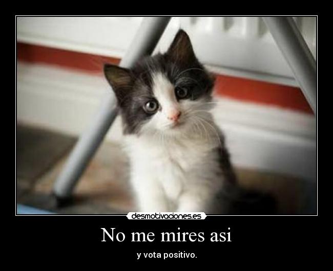 No me mires asi -