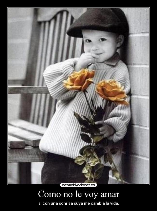 Como no le voy amar -