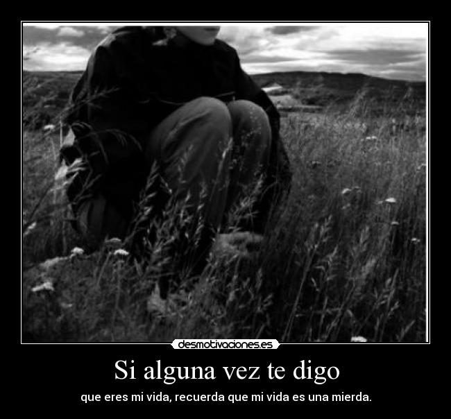 Si alguna vez te digo - que eres mi vida, recuerda que mi vida es una mierda.