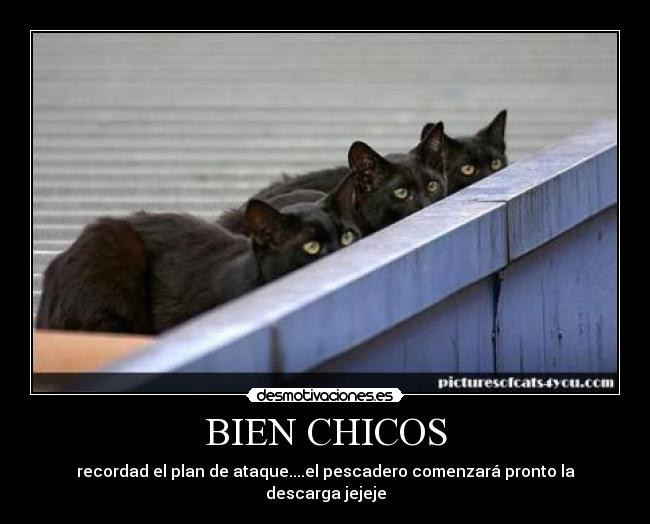 BIEN CHICOS - 