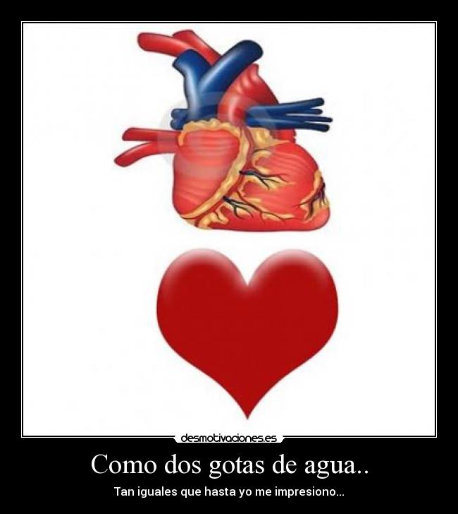 carteles desmotivaciones